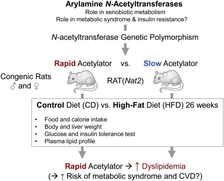 graphic file with name ga1.jpg