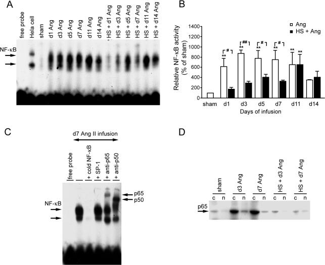 Fig 2.