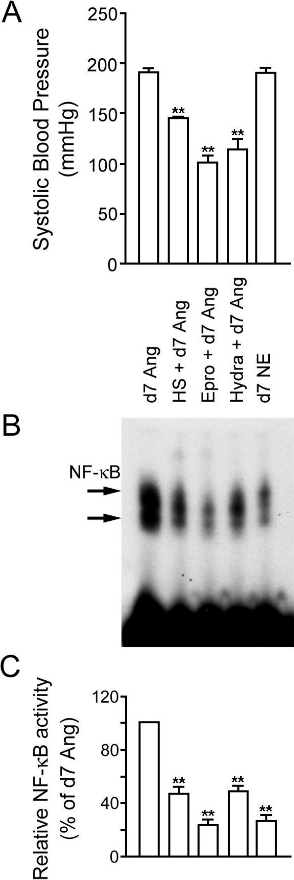 Fig 3.