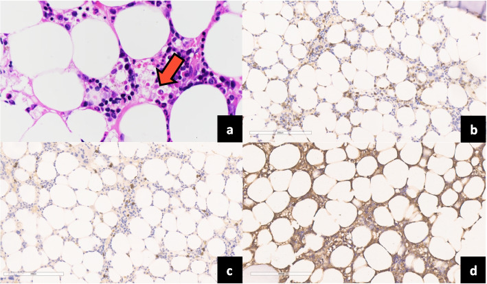 Fig. 3