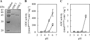 FIG 8