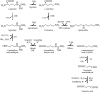 FIG 1