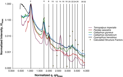 Fig. 3.