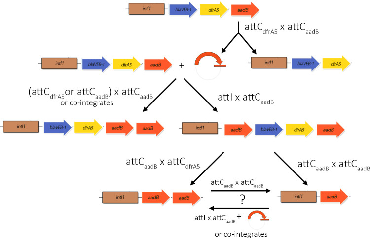 Figure 6.