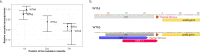 Figure 1—figure supplement 1.