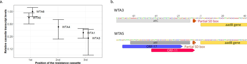 Figure 1—figure supplement 1.