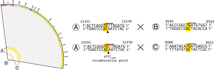 Figure 3—figure supplement 3.