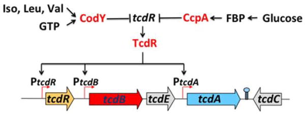 FIGURE 2