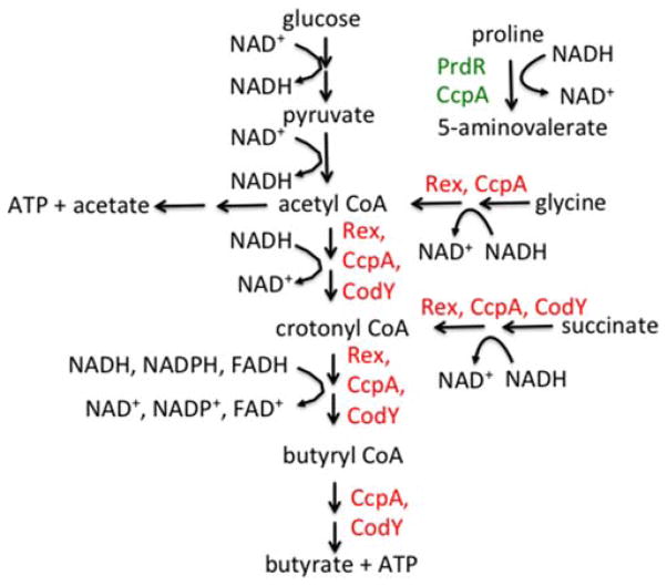 FIGURE 3