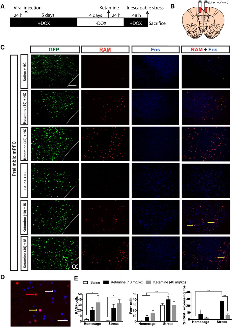 Figure 3.