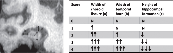 Fig.1