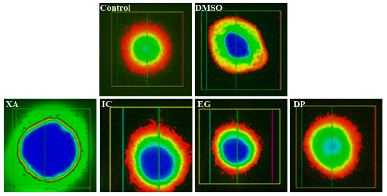 Figure 10