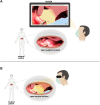 Figure 1: