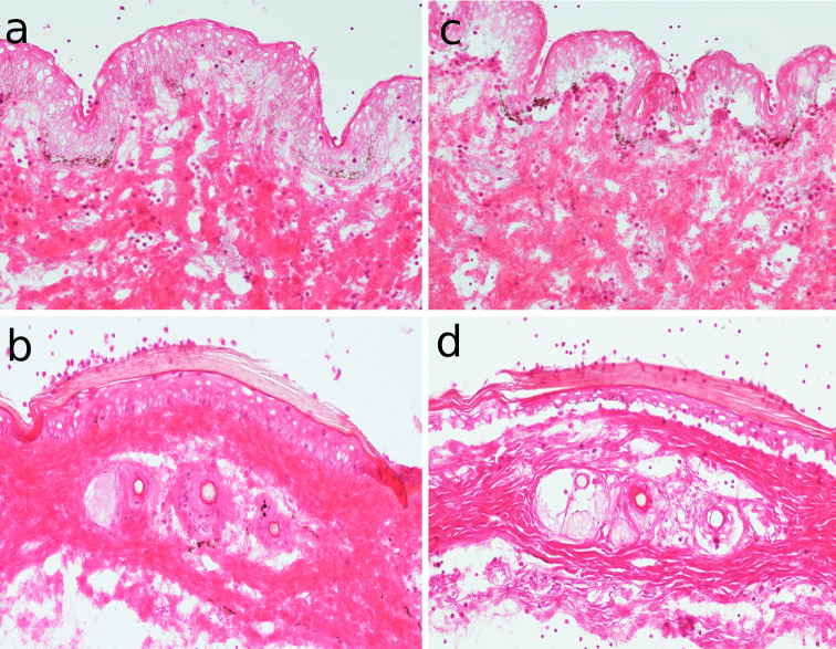 Fig. 6