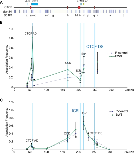 Figure 5.