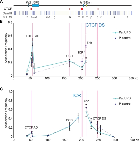 Figure 4.