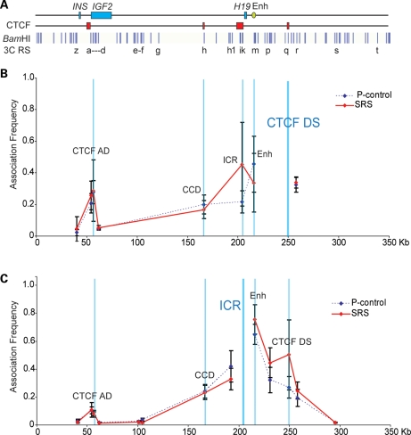 Figure 6.