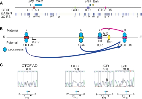 Figure 3.