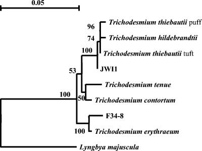 FIG. 2.