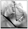 Figure 27