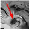 Figure 38