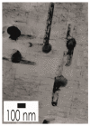 Figure 79