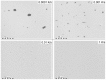 Figure 24