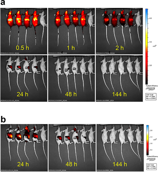 Figure 6.