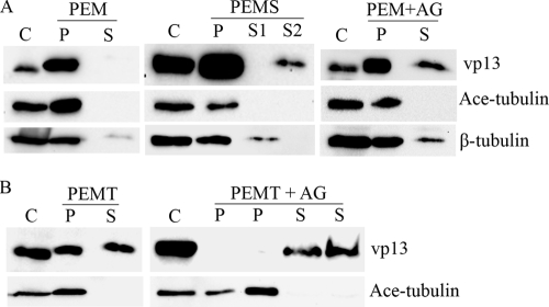 FIG. 5.