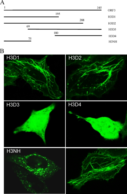 FIG. 7.