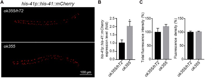 FIGURE 4