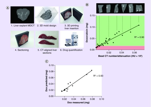 Figure 10. 