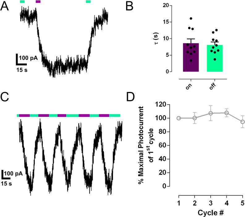 Figure 4.