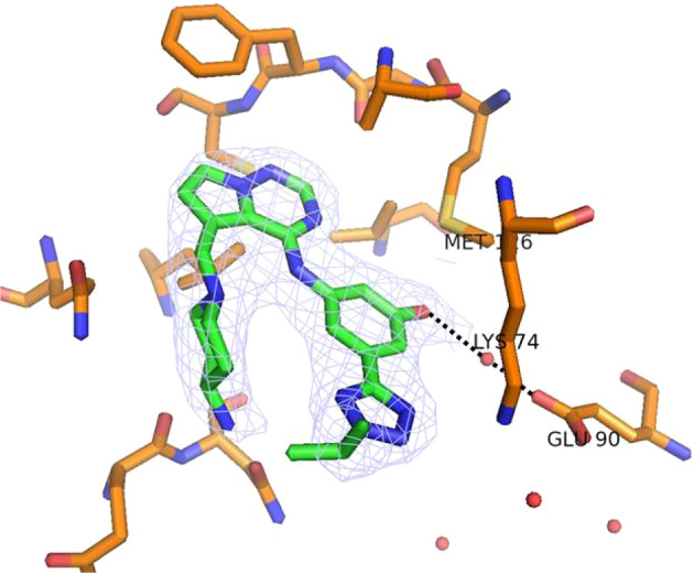 Fig. 3