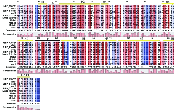 Figure 4.