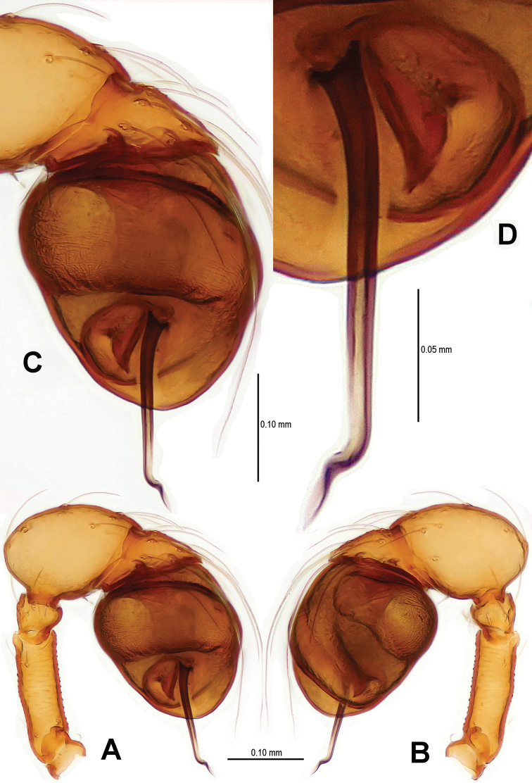 Figure 5.