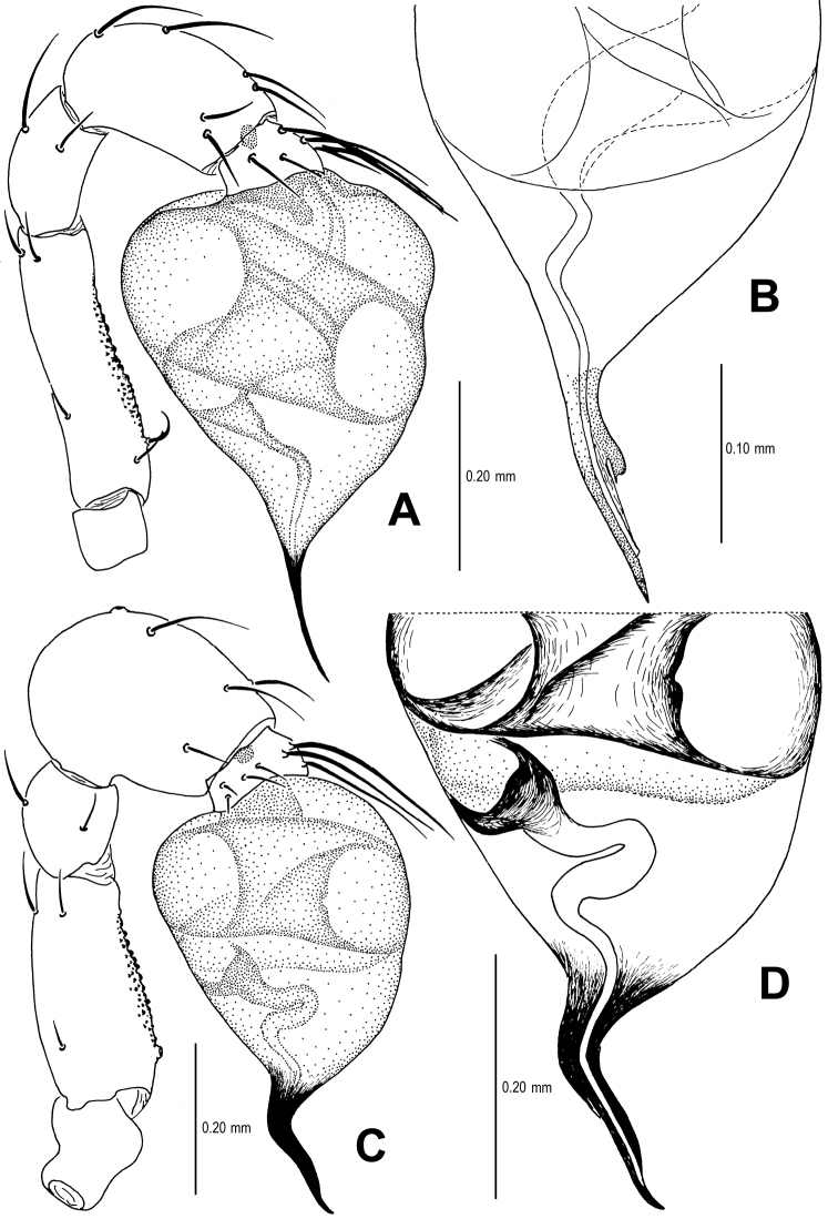 Figure 18.