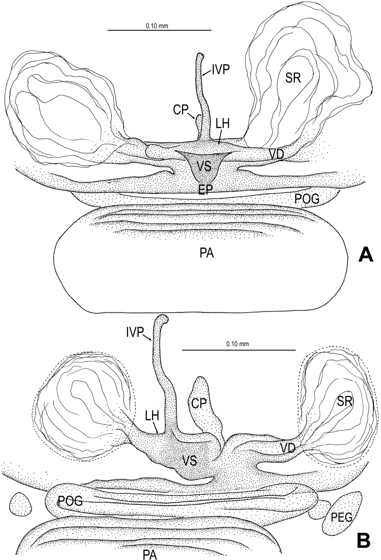 Figure 21.