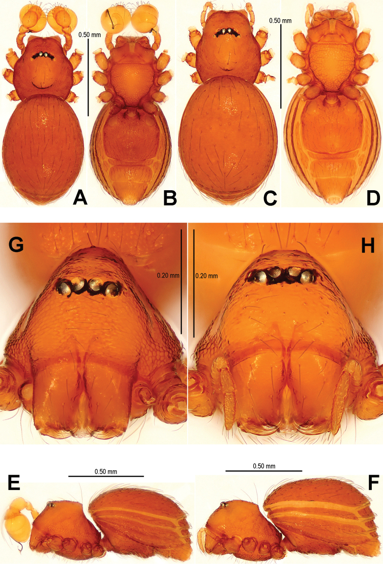 Figure 7.