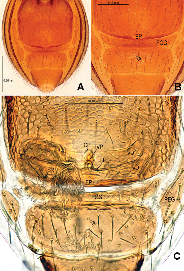 Figure 9.