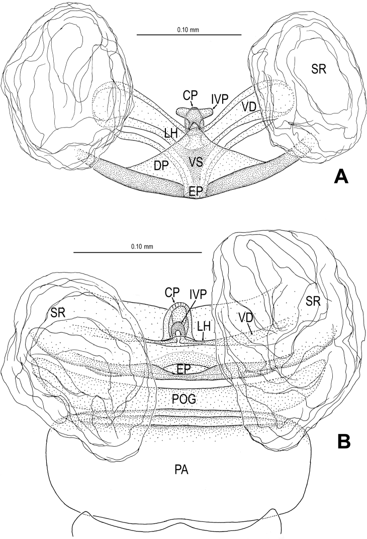 Figure 20.