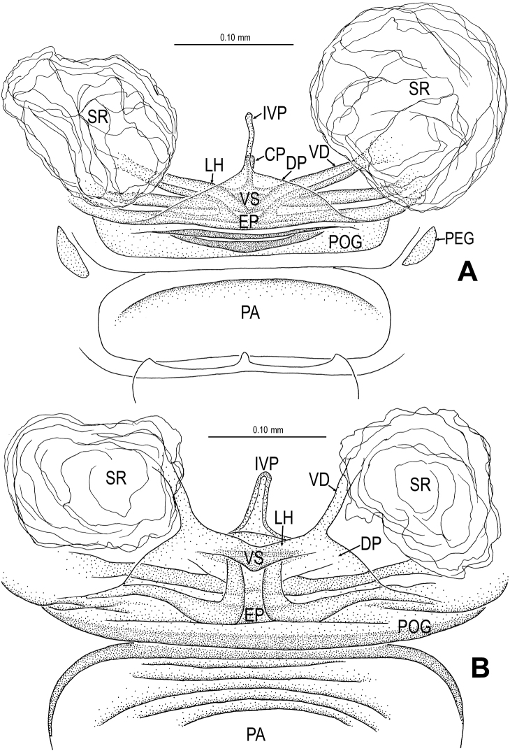 Figure 19.