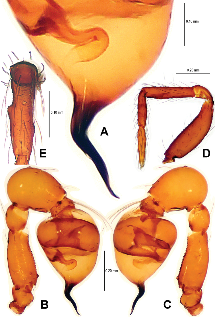 Figure 11.