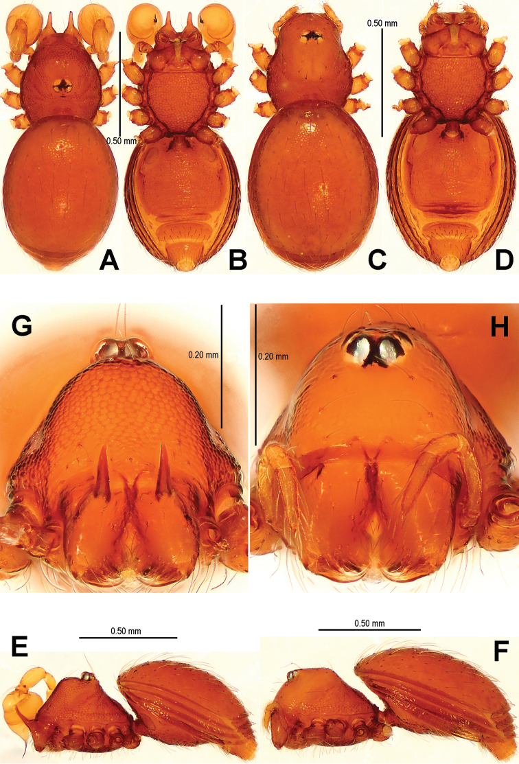 Figure 13.