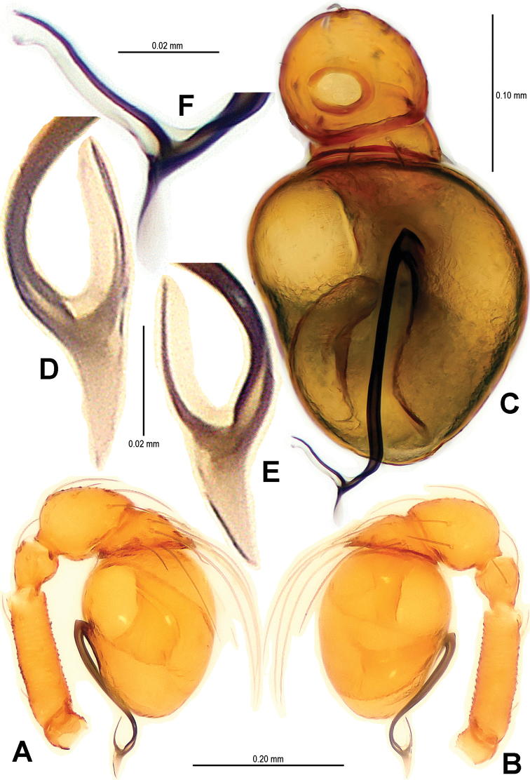 Figure 8.