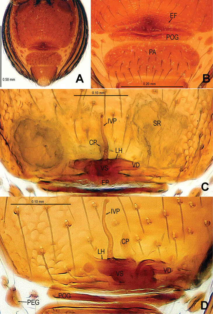 Figure 12.