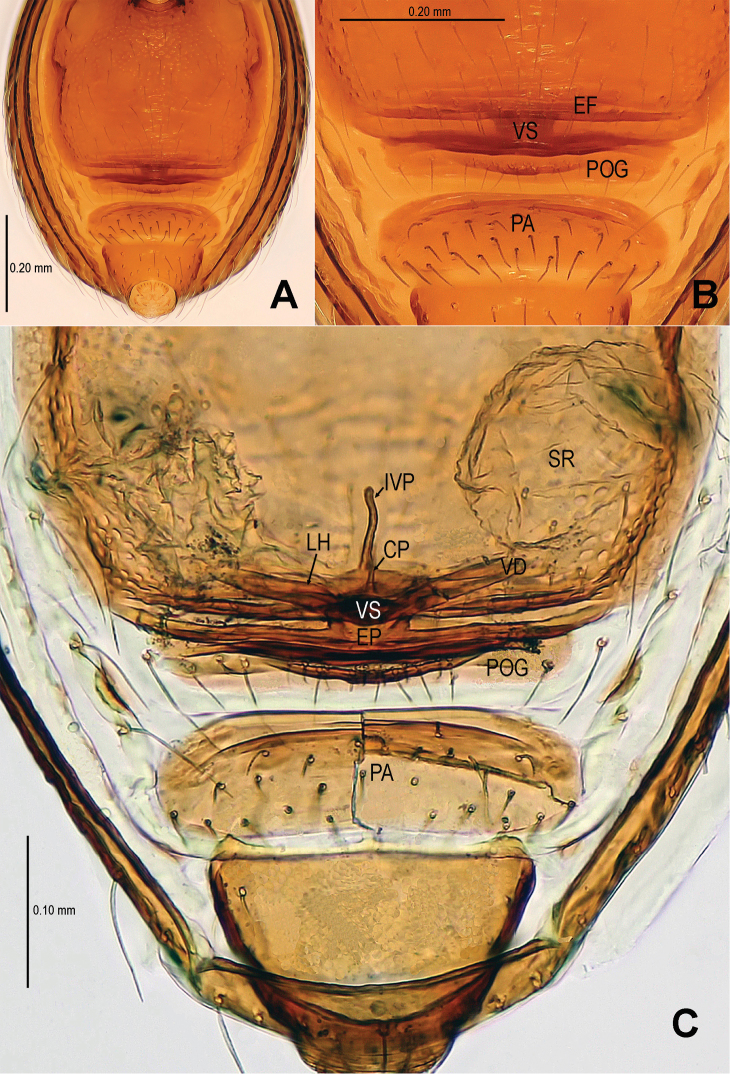 Figure 15.