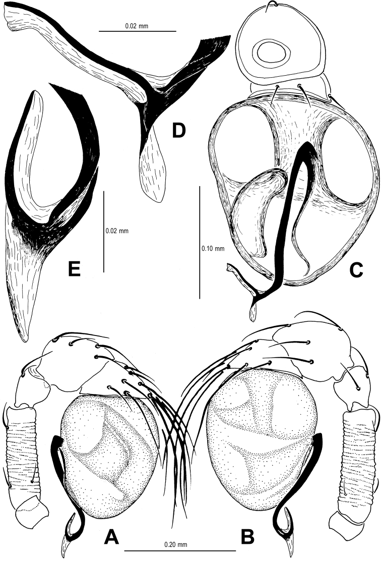 Figure 17.