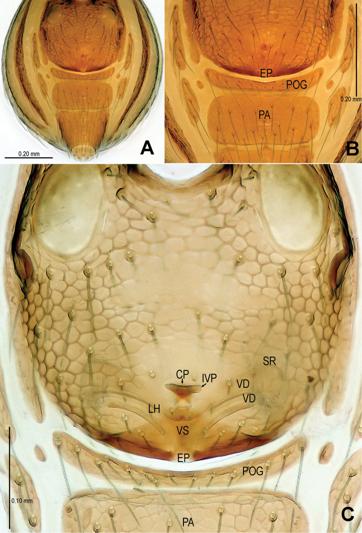 Figure 6.