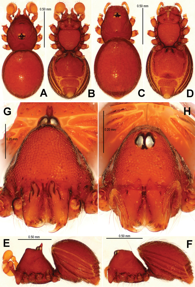 Figure 10.